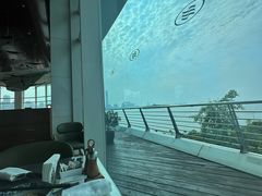 -苏州金鸡湖中茵皇冠假日酒店