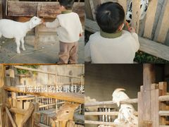 -乌村