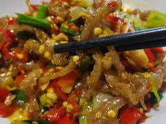 -壹盏灯(惠农店)