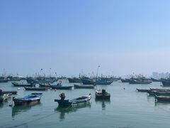 -海源公园