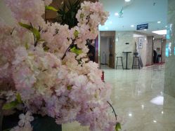 -重庆军美医疗美容医院