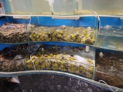 -四海蒸鲜蒸汽海鲜自助(北戴河店)