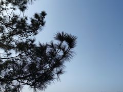 -千岛湖天屿景区