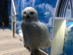 -成都浩海立方海洋公园