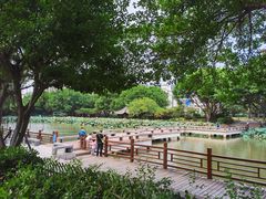 -光明港公园