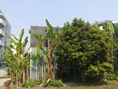 -同济大学四平路校区游泳馆