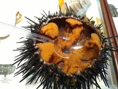 -苏大嘴海鲜牧场(奥林匹克店)