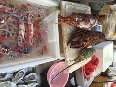 iphone_upload_pic-鸿港海鲜批发市场