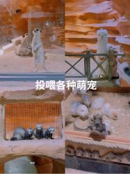 -酷嗒动物文化乐园(cutezoo西溪乐天城店)