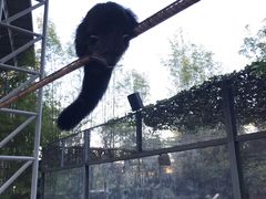 -清迈夜间动物园