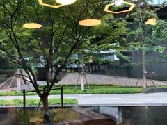 -青麦家·融合餐厅(江岛智立方店)