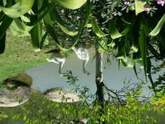 android_upload_pic-厦门悦华酒店