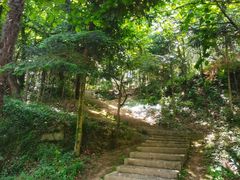 -上海佘山国家森林公园天马山园