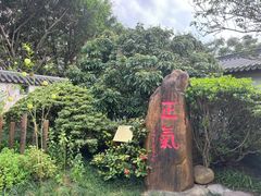 -广州神农草堂中医药博物馆