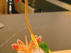 -鮨政· Omakase(港汇恒隆广场店)