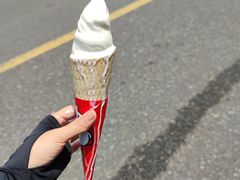 -蜜雪冰城(武进区吾悦店)