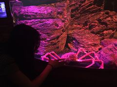 -暹罗海洋世界