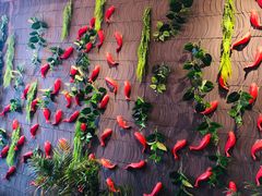 景观位-小龙坎老火锅(北京三里屯店)