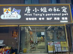 -唐小姐の私宠·宠物洗护美容·撸猫馆·购宠(周浦万达旗舰店)