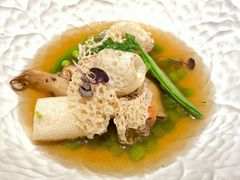 -蝶舍·MAISON PAPILLON