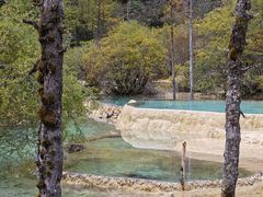 -黄龙山原始森林景区