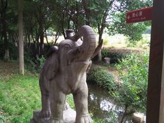-白马涧龙池景区
