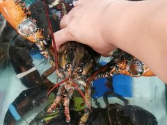 -四海蒸鲜蒸汽海鲜自助(北戴河店)