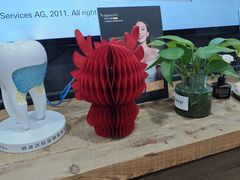 -Dr.Z dental仁康种植矫正中心