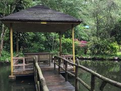 -莫里热带雨林景区