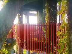 -芒洲湿地公园