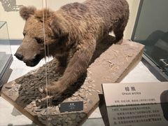 -大庆市博物馆