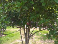 android_upload_pic-双拥公园