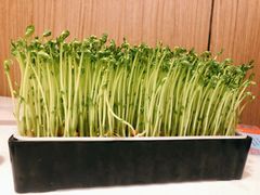 -煲宫猪肚鸡(晶品店)