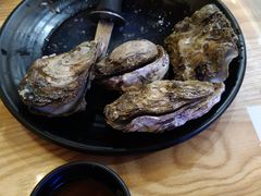 -蚝抵食·湛江生蚝(湾北路店)