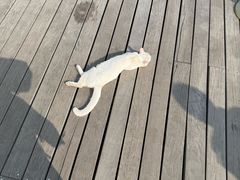 -千岛湖东南湖区