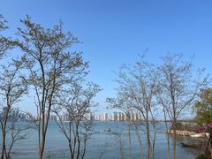 -唐岛湾公园