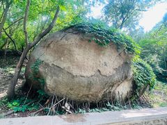 -白水寺森林公园