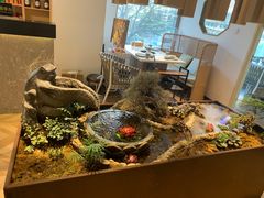 -东椰·海南椰子鸡火锅(朝阳门店)