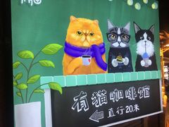 -有猫主题·治愈系猫咖(曾厝垵店)
