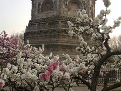 -玲珑塔公园