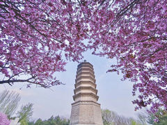-古塔公园
