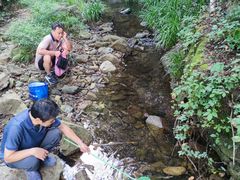 -素山寺森林公园