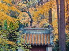 -青岛崂山太清宫