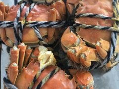 -乡乐园蟹庄·阳澄湖农家乐