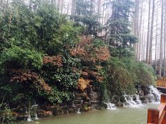 -上海怡沁园度假酒店