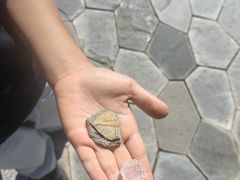 -房山世界地质公园博物馆