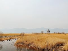 -野鸭湖国家湿地公园