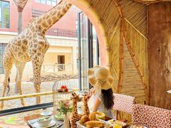 -灵玲国际马戏城