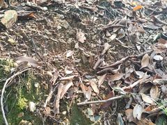 -小格里自然风景区