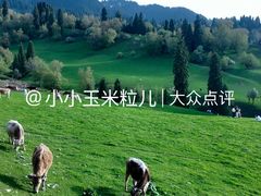 -新疆那拉提国家旅游度假区
